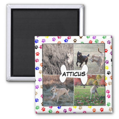 Personalized Dog Photos Paw Prints Instagram Magnet