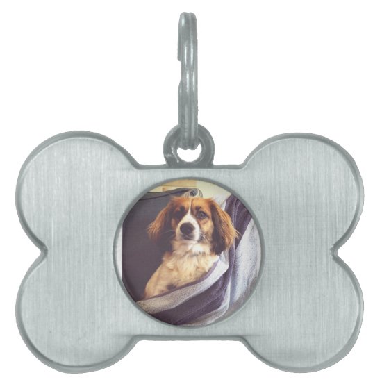 personalized dog tag or cat tag
