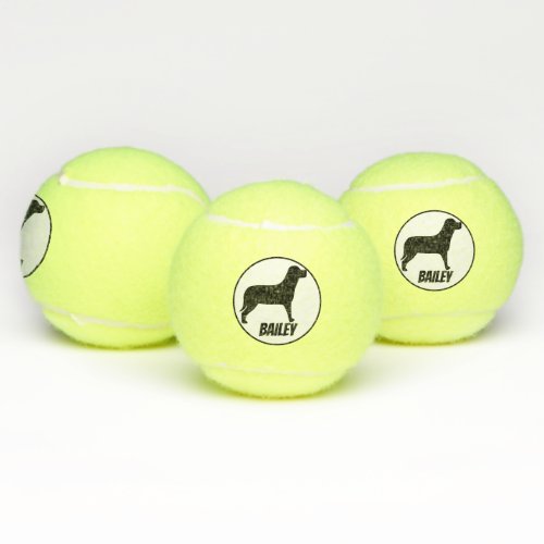 Personalized Dog Tennis Balls