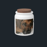 Personalized Dog Treat Jar<br><div class="desc">Personalize this dog treat jar with the name of your dog on it - or someone else