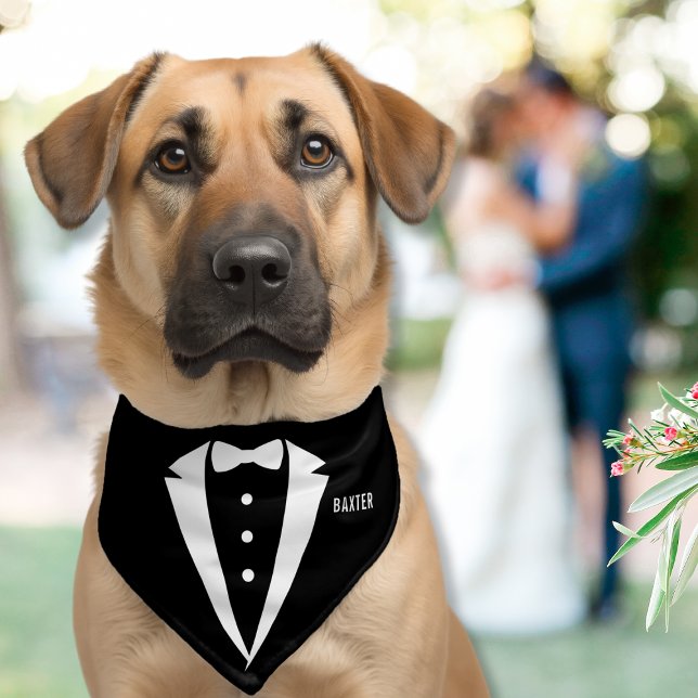 Personalized Dog Wedding Classic Black Tuxedo Pet Bandana Collar (Creator Uploaded)