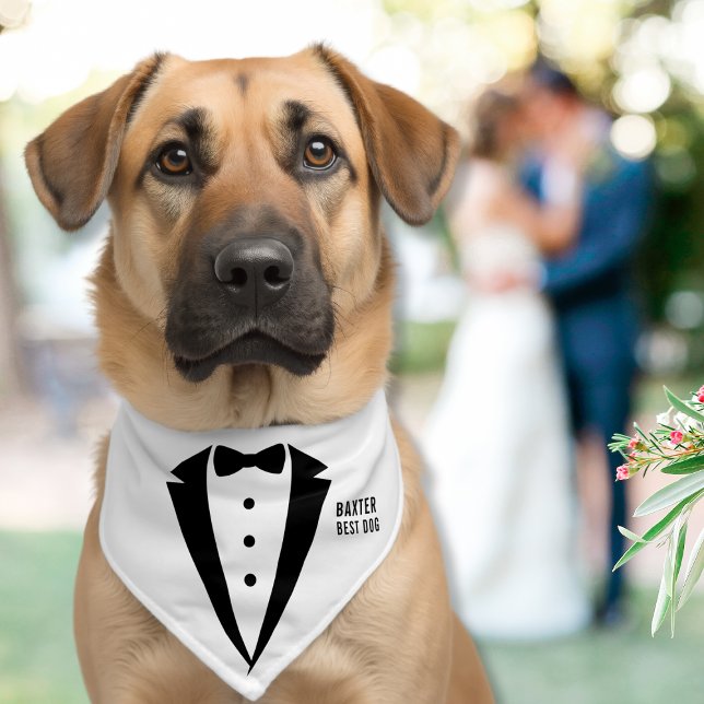 Personalized Dog Wedding Classic White Tuxedo Pet Bandana Collar (Creator Uploaded)