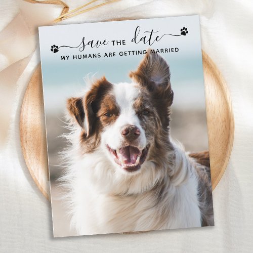 Personalized Dog Wedding Pet Photo Save The Date Announcement Postcard