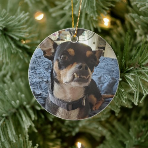 Personalized Doggie Photo Ceramic Ornament