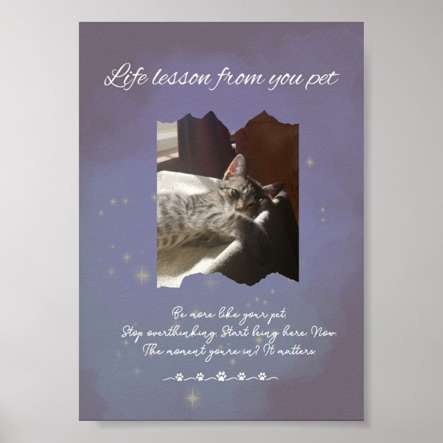 Personalized Dreamy Life Lessons from your Pet  Poster (Front)