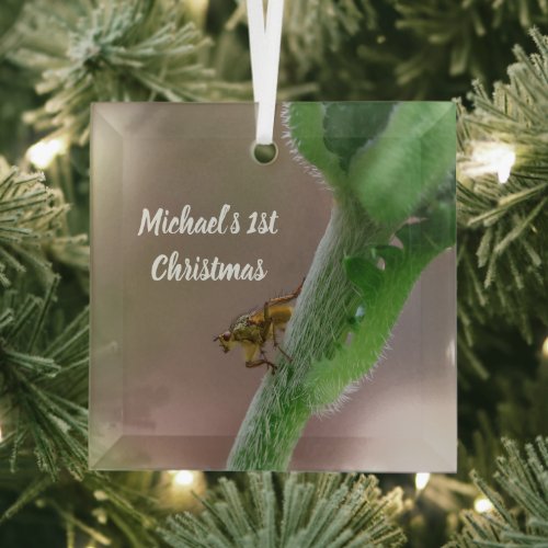 Personalized Dung Fly Photo Christmas Ornament