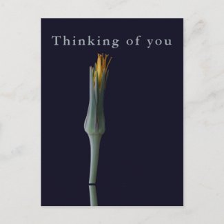 Personalized Elegant Flower Black Thinking of You