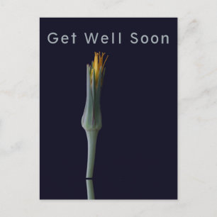 Personalized Elegant Flower on Black Get Well Postcard