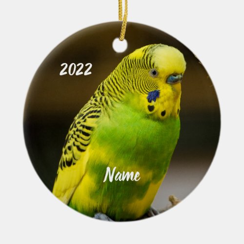 Personalized English Budgie Parakeet Ceramic Ornament