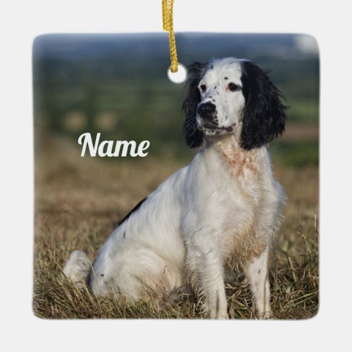 Personalized English Springer Spaniel Ceramic Ornament