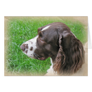 Personalized English Springer Spaniel Profile Cards