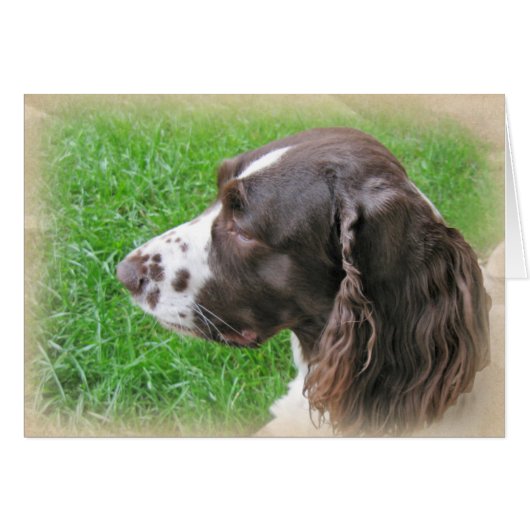 Personalized English Springer Spaniel Profile Cards (Front Horizontal)