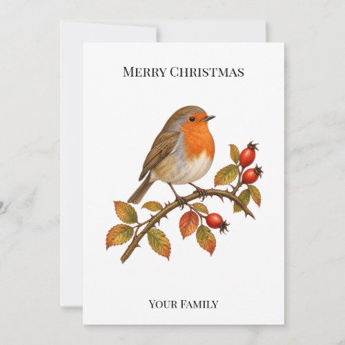 Personalized European Robin Christmas Holiday Card