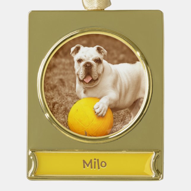 Personalized Family Ornament (Front)