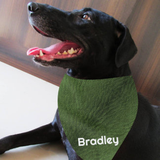 Personalized Faux Leather Green Dog Bandana