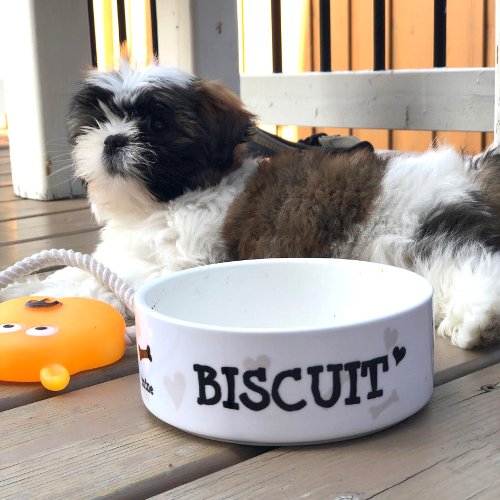 Personalized Feeding Modern Pup Icon Dog Bowl