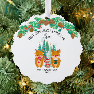 Personalized First Christmas Reindeer Ornament Card