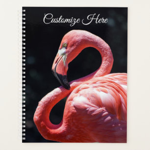 Personalized Flamingo Weekly/Monthly Planner
