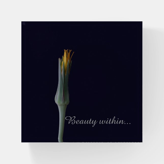 Personalized Floral Art Glass Paperweight Display (Front)