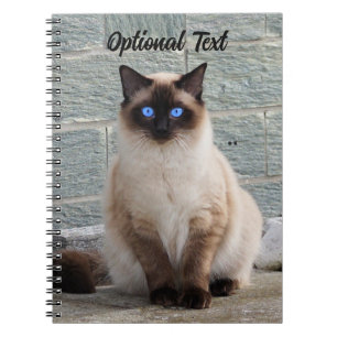 Personalized Fluffy Cat with Blue Eyes Notebook