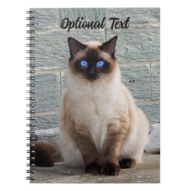 Personalized Fluffy Cat with Blue Eyes Notebook (Front)