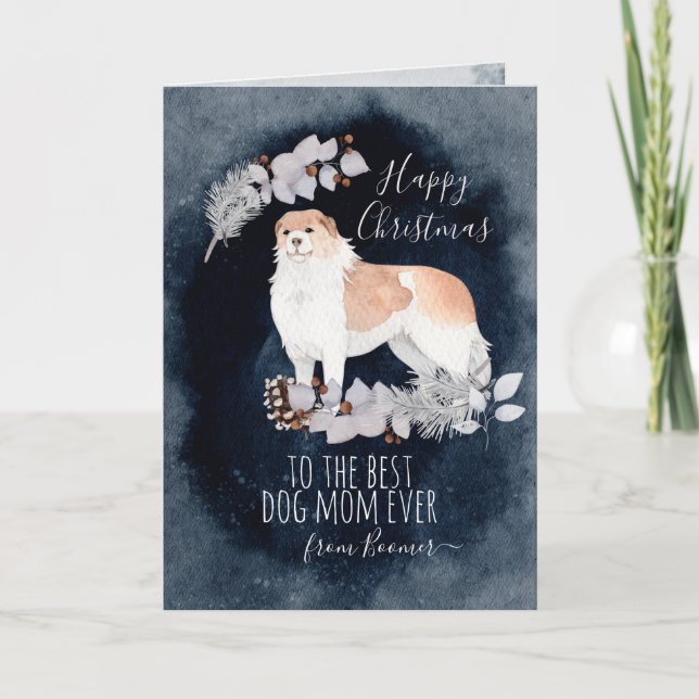 Personalized Fluffy Dog Armenian Gampr Christmas Holiday Card (Front)