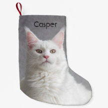 Personalized Fluffy White Maine Coon Cat
