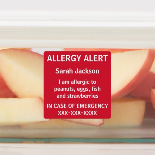 Personalized Food Allergy Alert Kids Daycare Labels