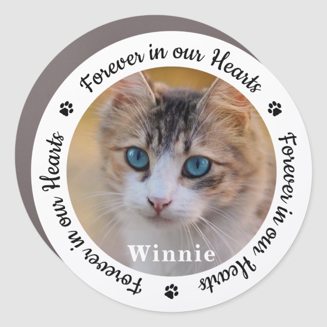 Personalized Forever Cat Memorial Pet Photo  Car Magnet (Front)