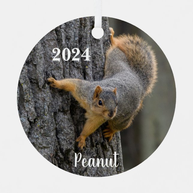 Personalized Fox Squirrel on a Tree Metal Ornament (Front)