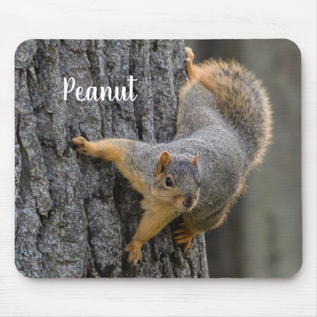 Personalized Fox Squirrel on a Tree Mouse Pad (Front)