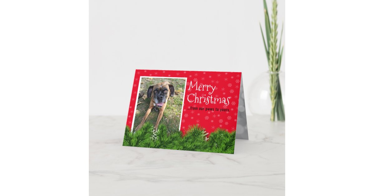 Personalized From The Dog Christmas Cards Zazzle Personalized From The Dog Christmas