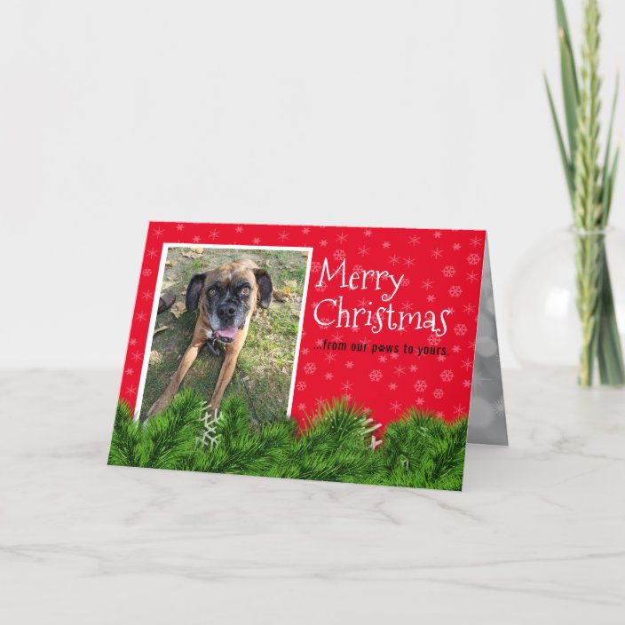 Personalized From The Dog Christmas Cards Zazzle Personalized From The Dog Christmas