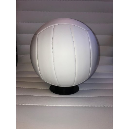 Personalized Full Size Volleyball (Left Side)