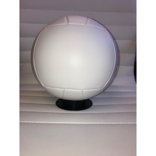 Personalized Full Size Volleyball (Back)