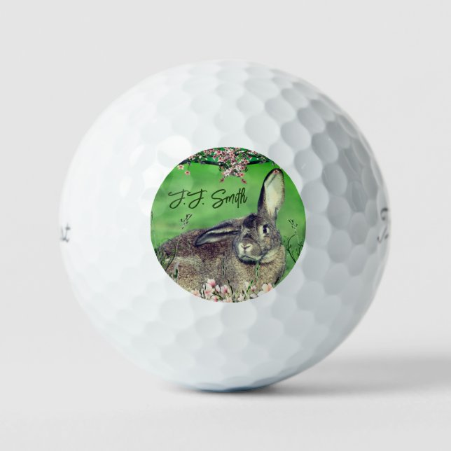 Personalized Fun 3 Pack Hare Rabbit Animal  Golf Balls (Front)