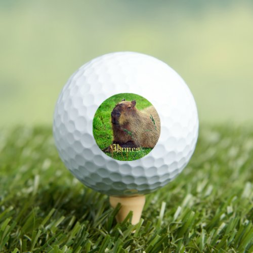 Personalized Fun Capybara Animal Golf Balls