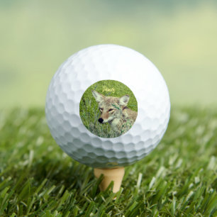 Personalized Fun Coyote Animal Golf Balls