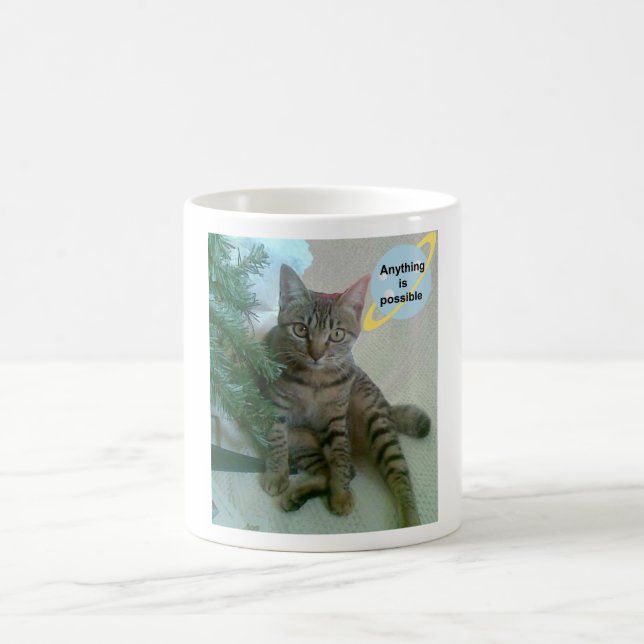 Personalized funny cat mugs (Center)