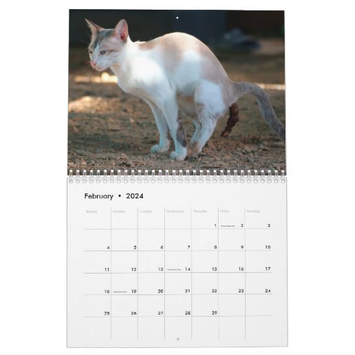 Personalized Funny Cats Pooping Calendar 2024 Zazzle