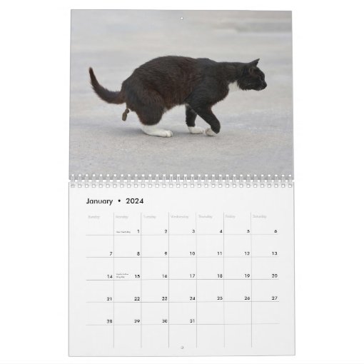 Personalized Funny Cats Pooping Calendar 2024 Zazzle