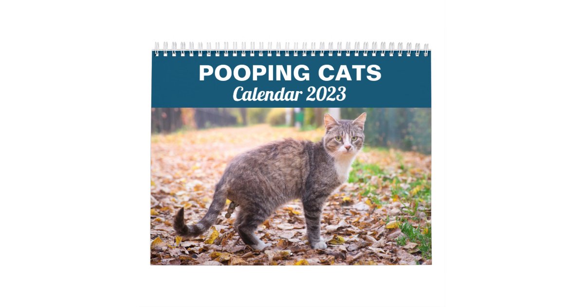 Personalized Funny Cats Pooping Calendar 2024 Zazzle