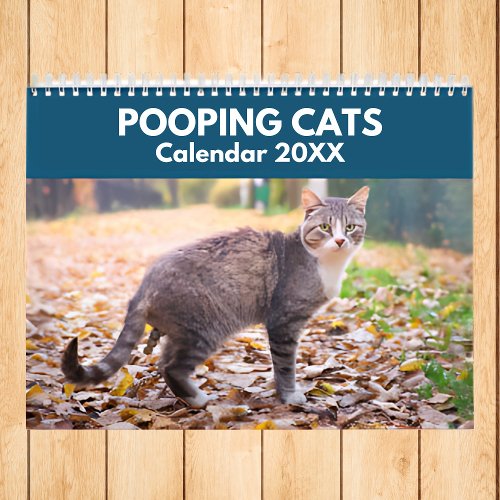 Personalized Funny Cats Pooping Calendar 2024