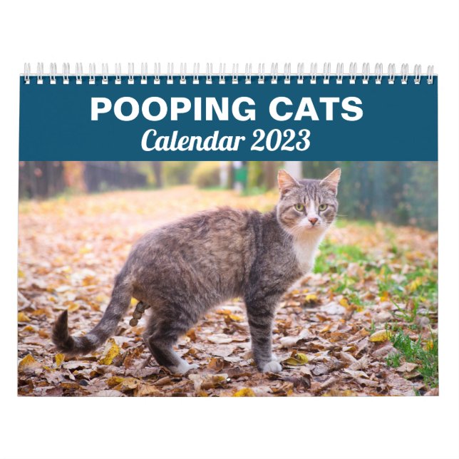 Personalized Funny Cats Pooping Calendar 2026 (Cover)