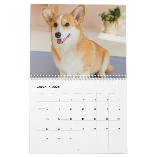 Personalized Funny Corgi Dog Pet Photo Calendar (Mar 2026)