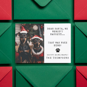 Personalized Funny Dog Photo Christmas Picture Holiday Card