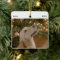 Personalized Funny Dog Picture Christmas Photo