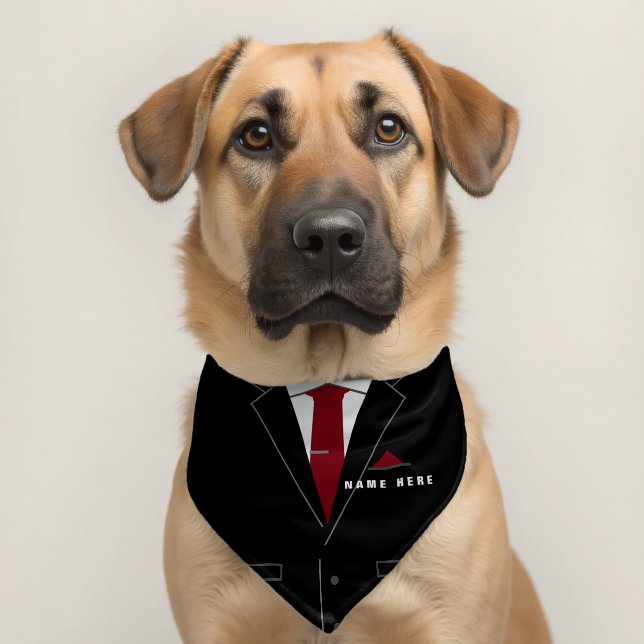 Personalized Funny Pet Bandana Collar Custom Name (Dog 2)