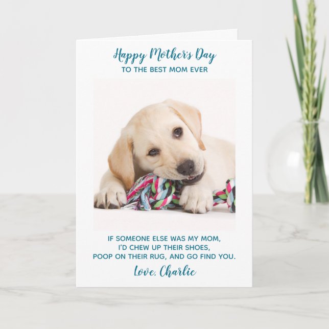 Personalized Funny Pet Photo Dog Mom Mothers Day Holiday Card (Front)
