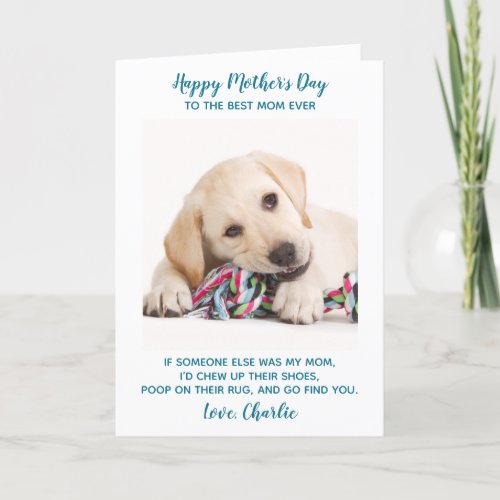 Personalized Funny Pet Photo Dog Mom Mothers Day Holiday Card